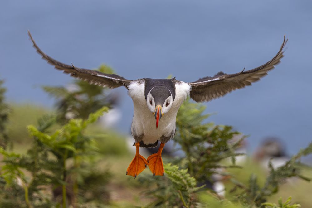 Photograph by Ellen Lichtenheldt