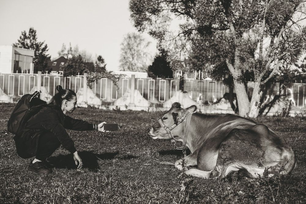 Photograph by Dmitrii Zabuga