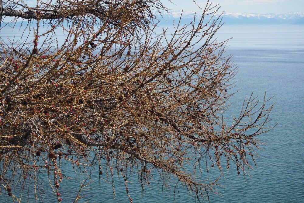 Baikal is the deepest lake on the planet