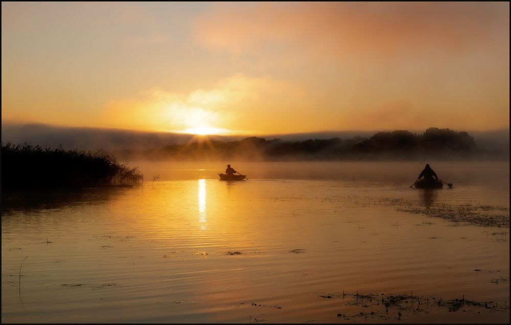 Photograph by Олег Григорьев