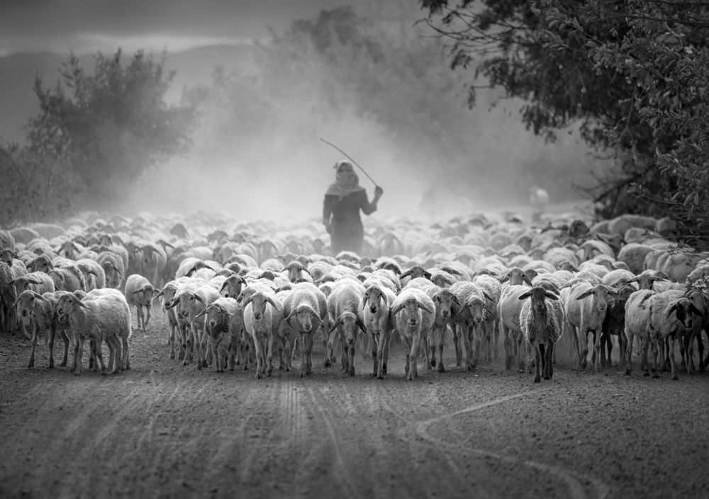 Photograph by Lê Huy Anh