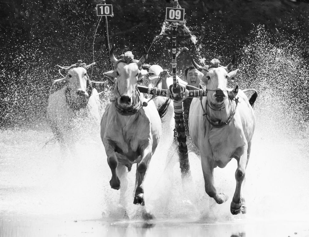 Photograph by Lê Huy Anh