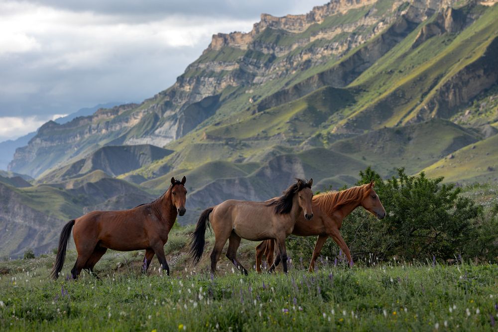 Photograph by Раздорова Мария