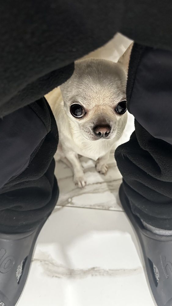 Фотография автора Алексей Новиков