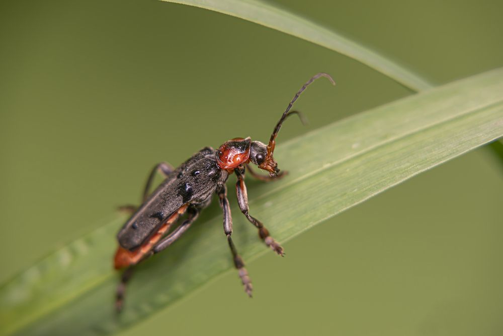 Photograph by Бурикова Екатерина