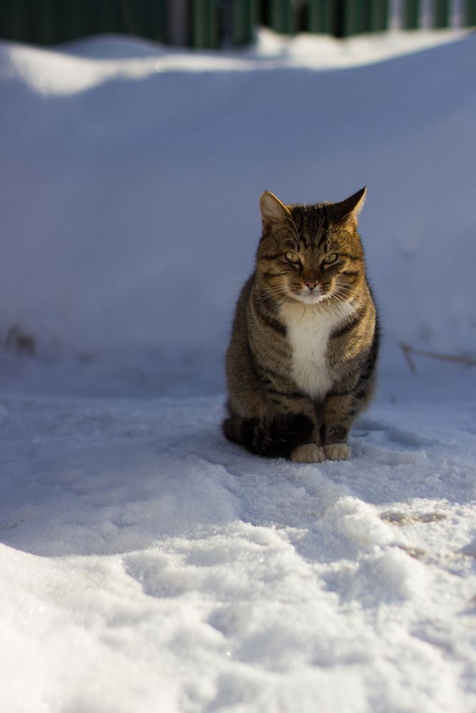 Photograph by Татьяна Ремизова
