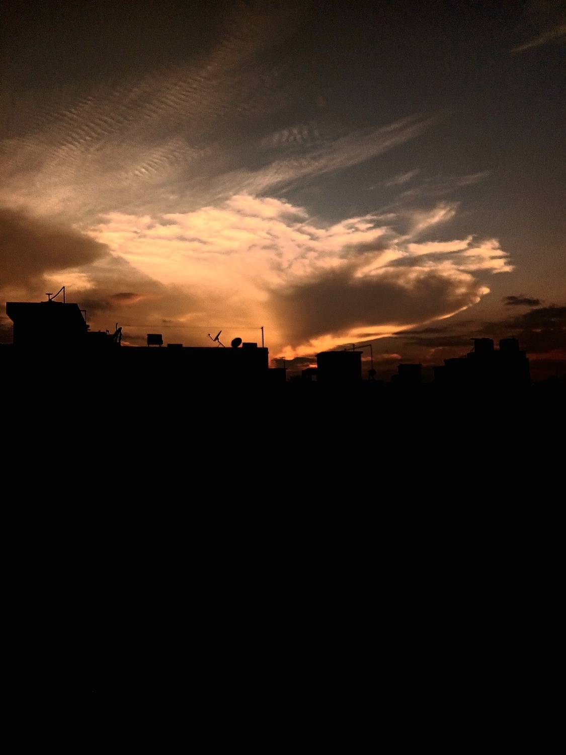 Photo #13275918