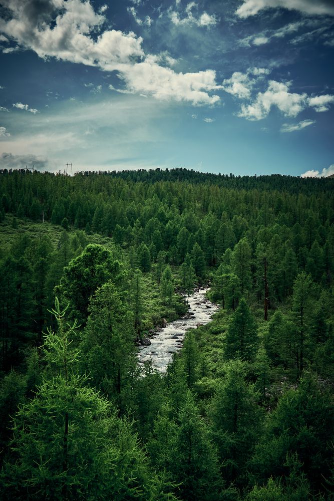 Photograph by Дядич Виталий