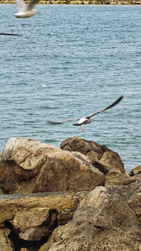 Фотография автора Денис Кулешов