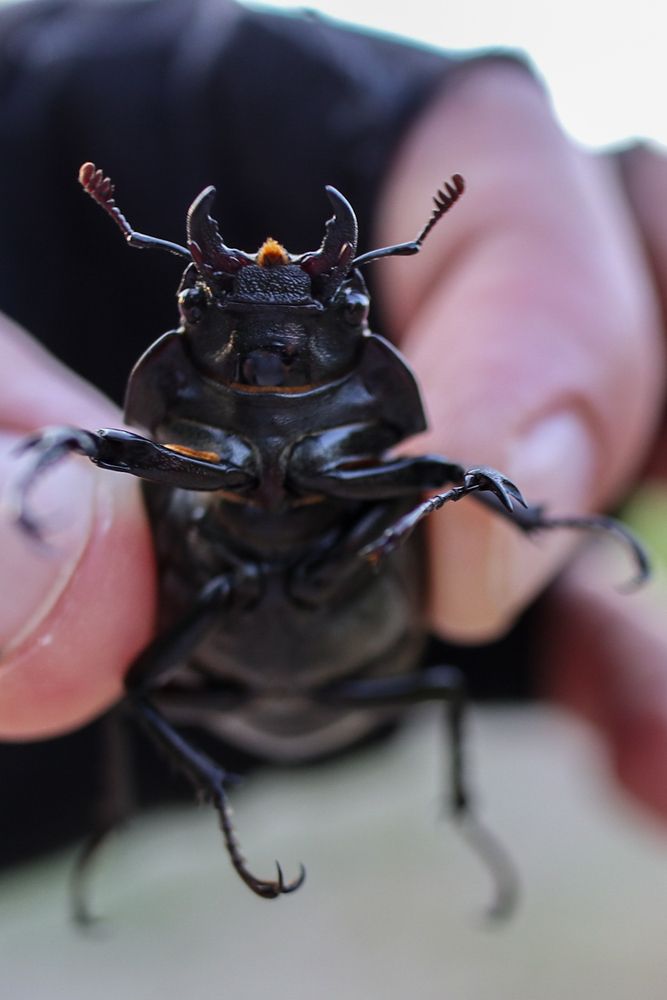 Photograph by Сергей Конюшенко