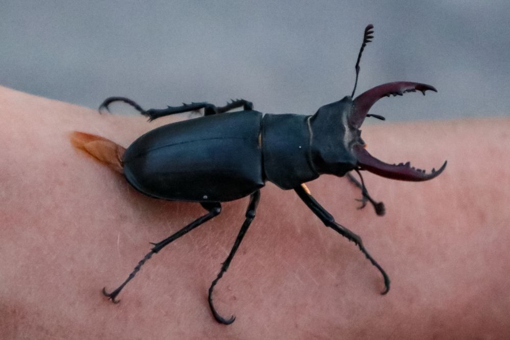 Photograph by Сергей Конюшенко