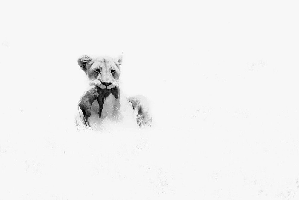 Survival, Unadorned