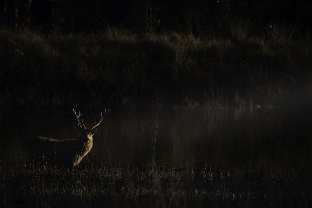 Keeper of the Marsh