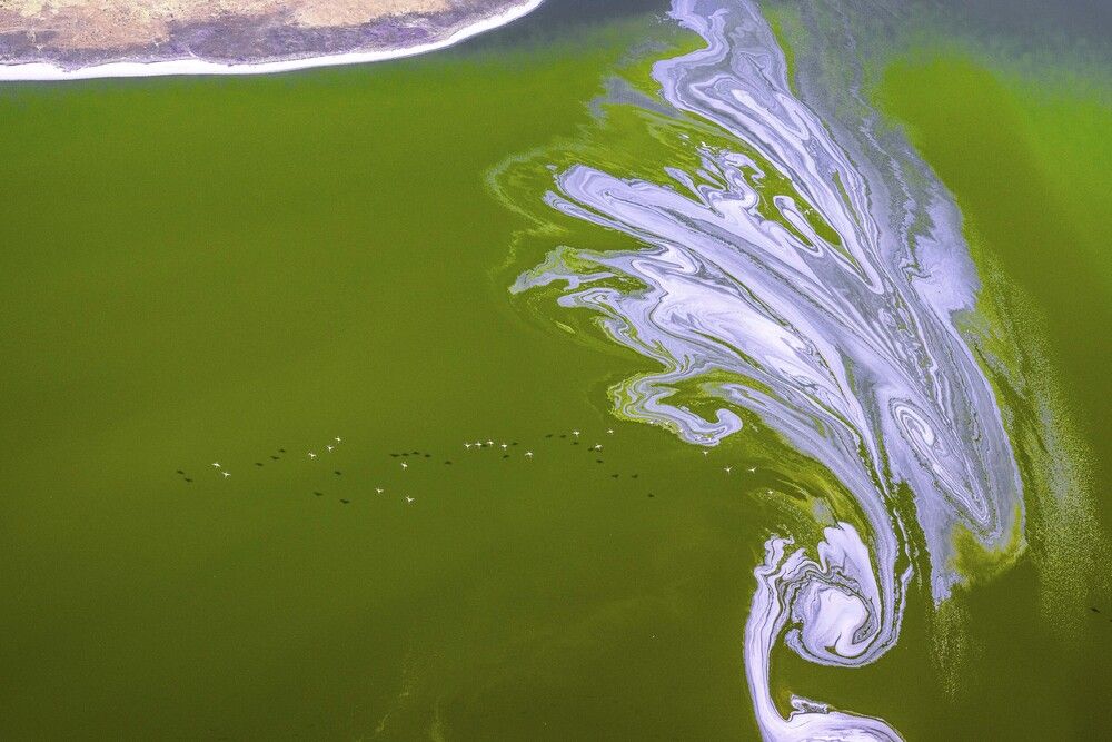 Chromatic Currents