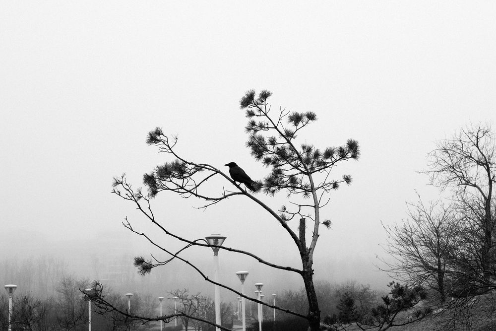 Photograph by Наталья Цуканова