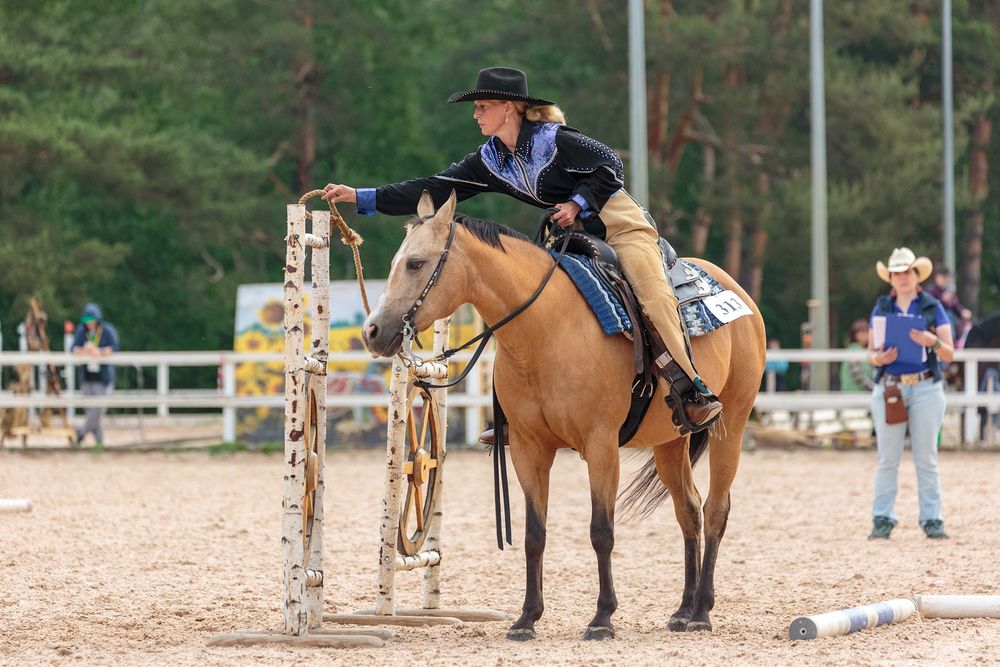 Photograph by Ирина Шестакова