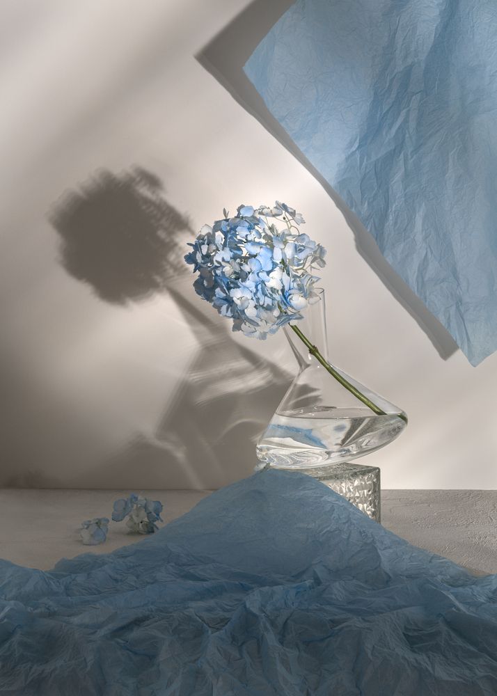 Photograph by Алина Еникеева