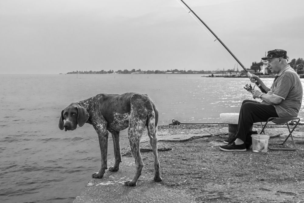 Photograph by Антон Данилов