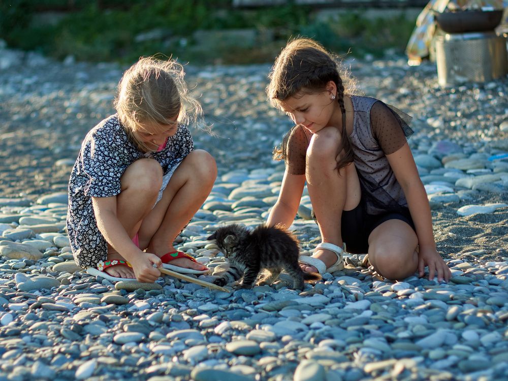 Photograph by Антон Данилов