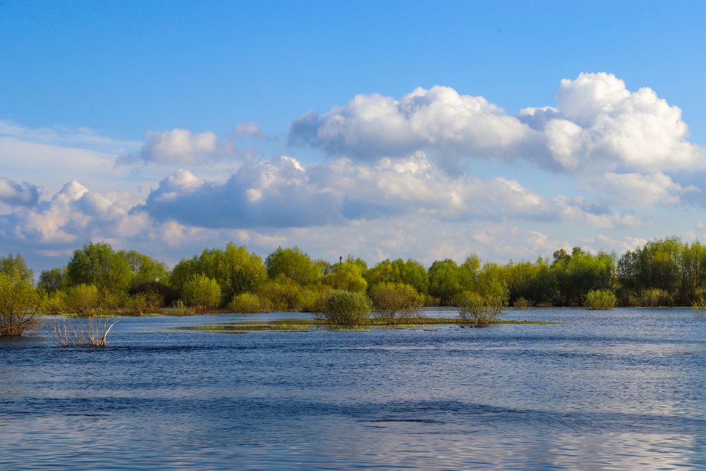 Река Припять.