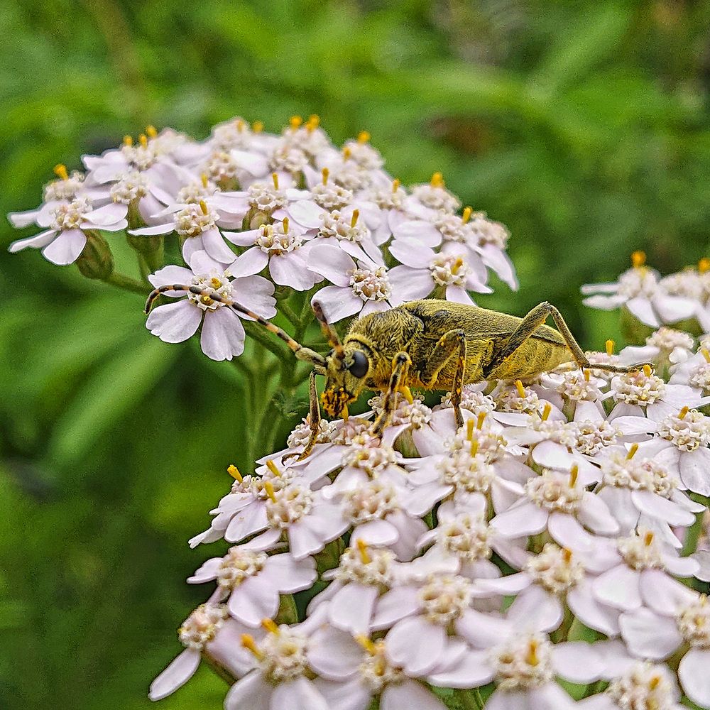 А не пора ли мне подкрепиться...