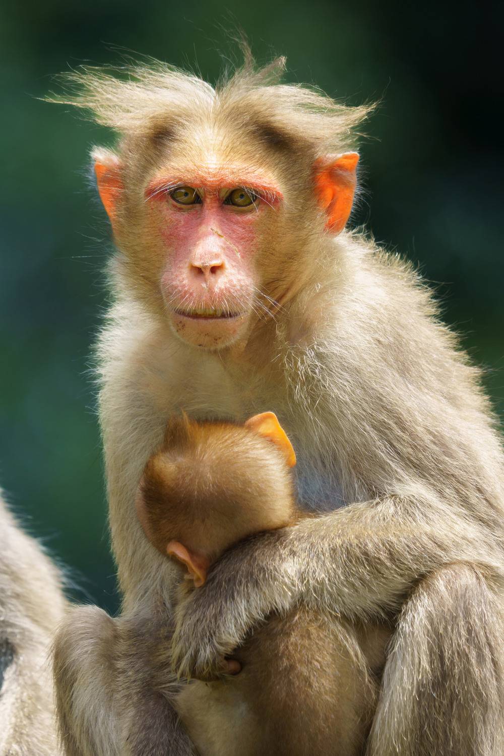 The Weight of Protection