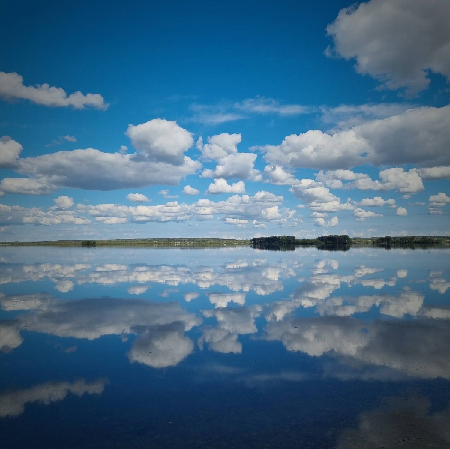 Photo #13276319