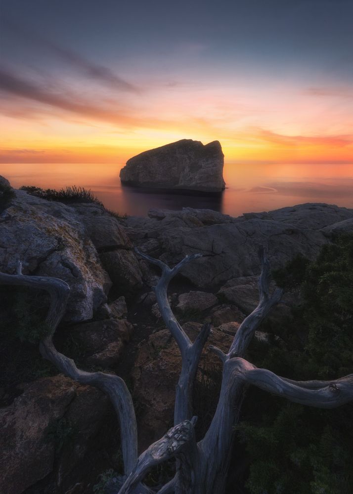 Photograph by Andrea Curzi