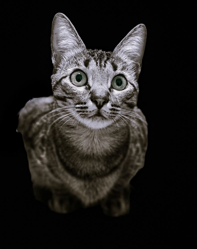 Photograph by HECTOR ANTONIO RAUCHS