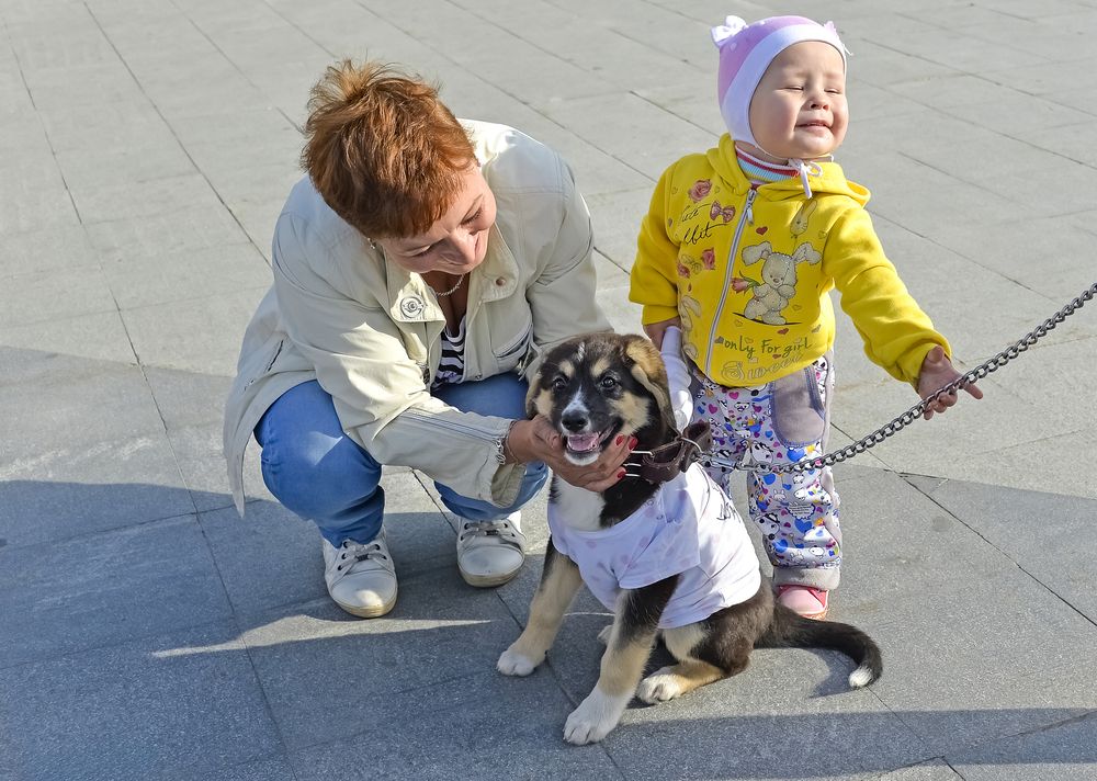 Photograph by БОРИС АНТОНОВ