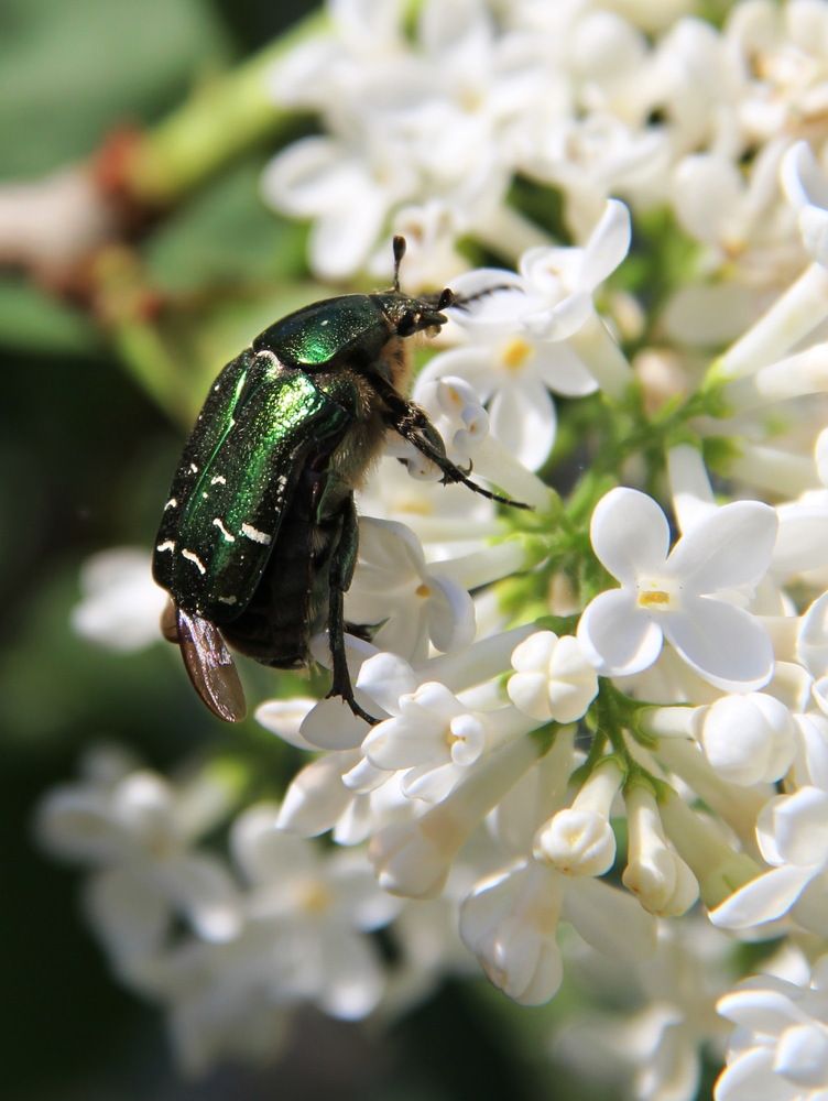 Photograph by Андрей Стародубцев