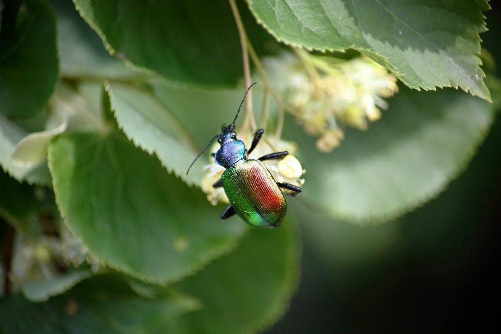 Photograph by Андрей Стародубцев
