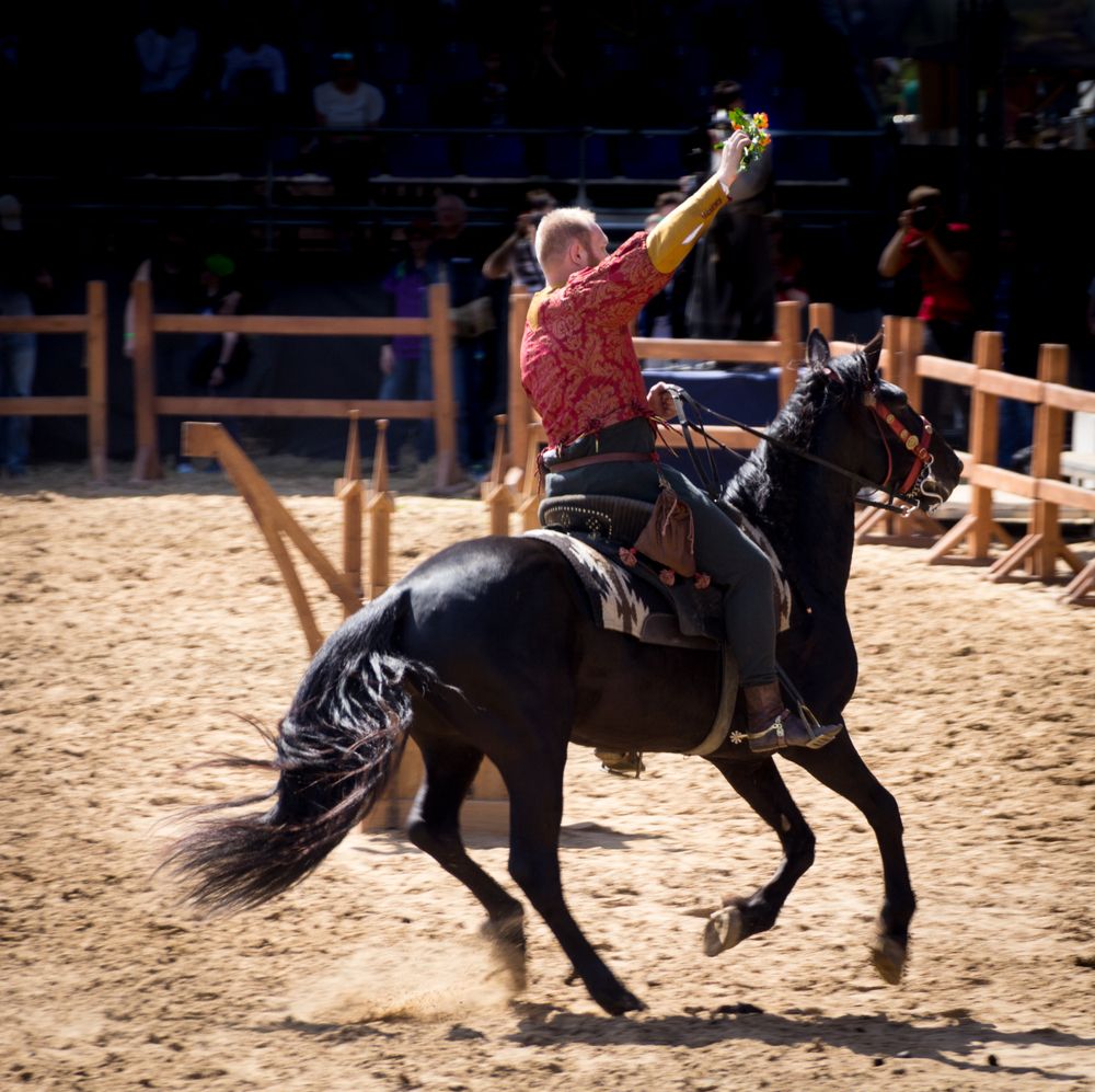 Фотография автора Straand2614