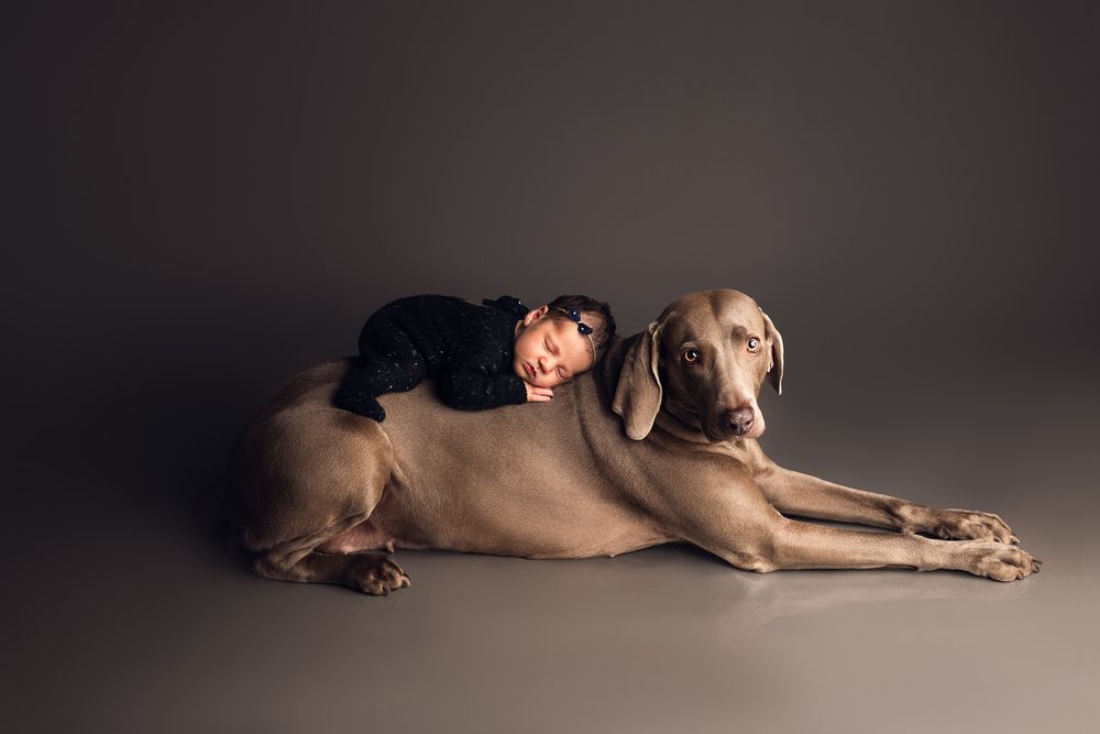 Photograph by Светлана Лысич