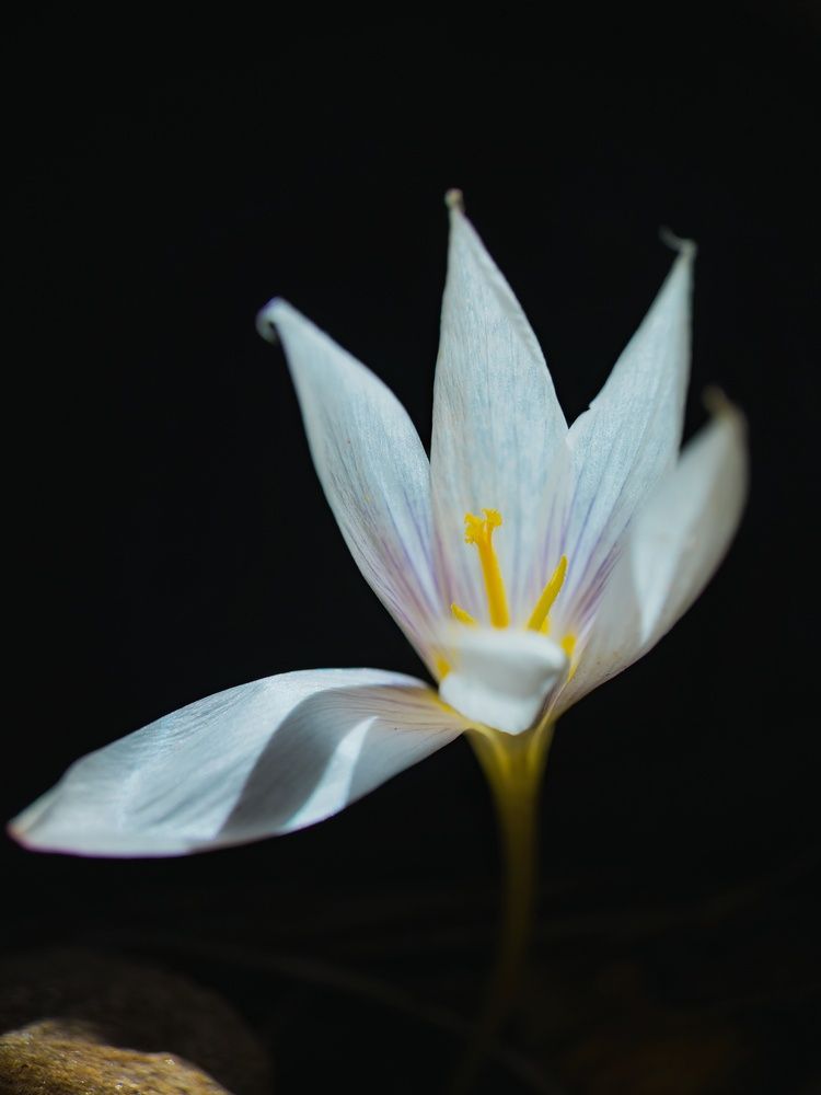 Photograph by Игорь Кабанов