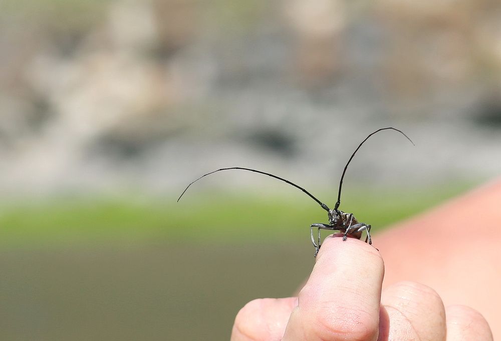 Photograph by Андрей Стародубцев