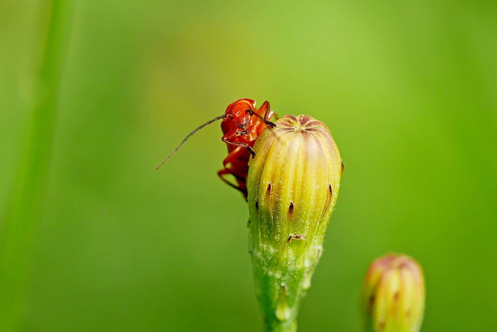Фотография автора Владимир Лобанов