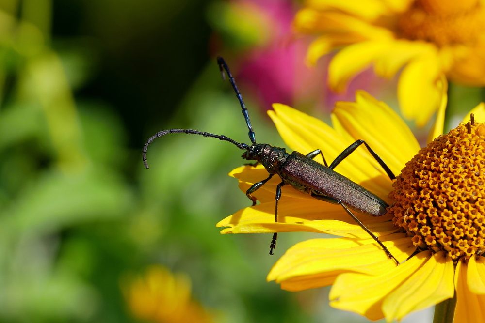 Фотография автора Владимир Лобанов