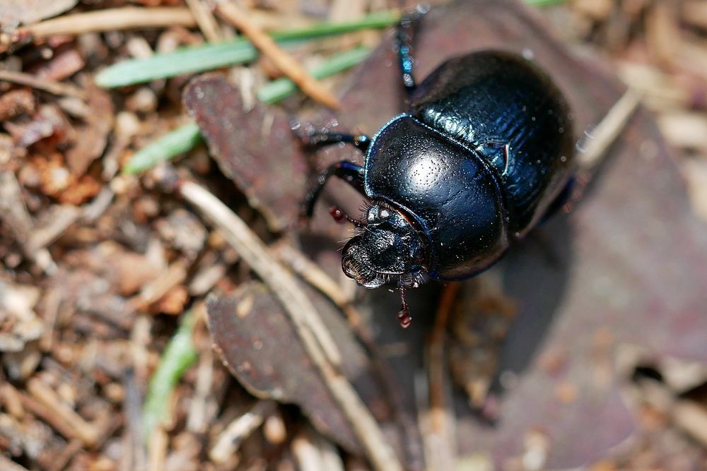 Фотография автора Владимир Лобанов