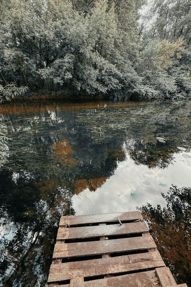 Photograph by Анна Гусева