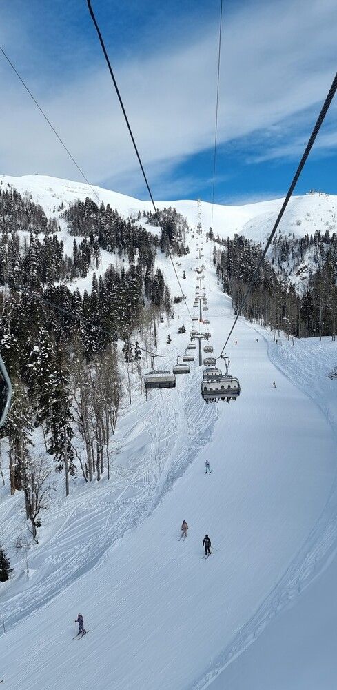 Photograph by Elena Ovsannikova