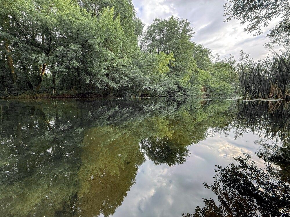 Photograph by Анна Гусева