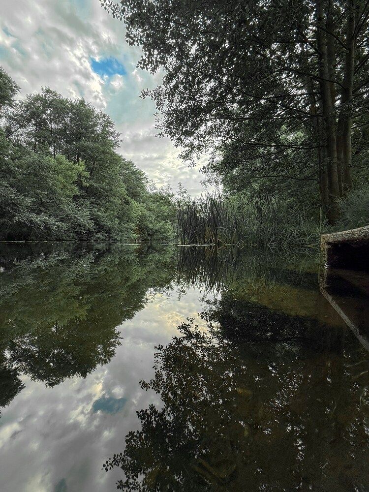 Photograph by Анна Гусева