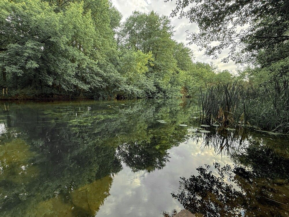 Photograph by Анна Гусева