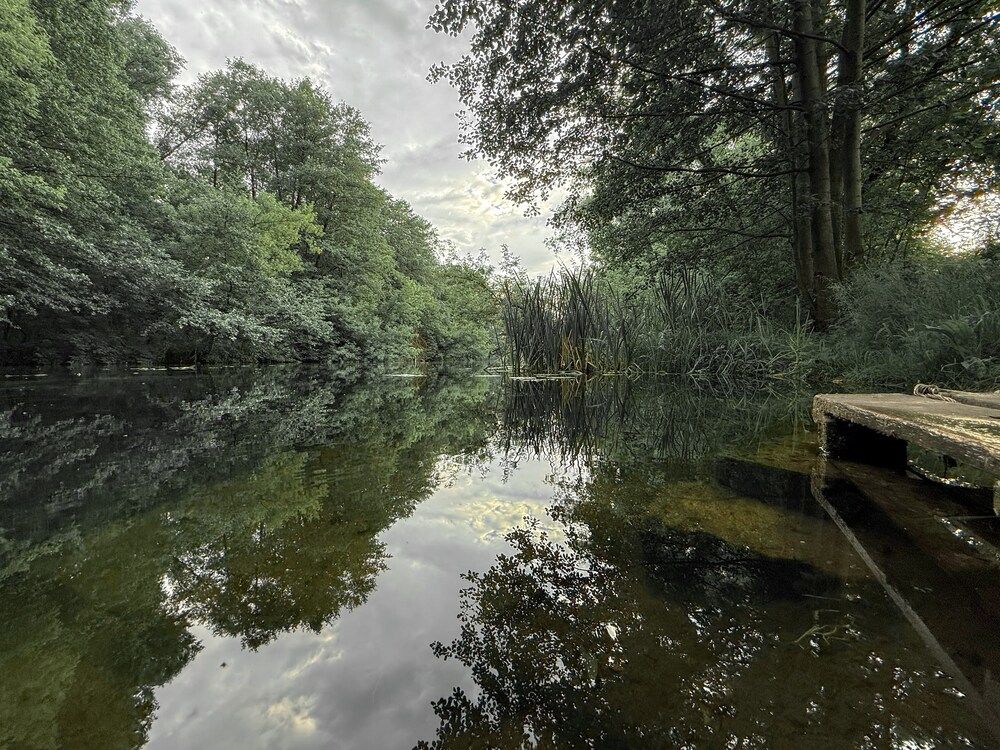 Photograph by Анна Гусева