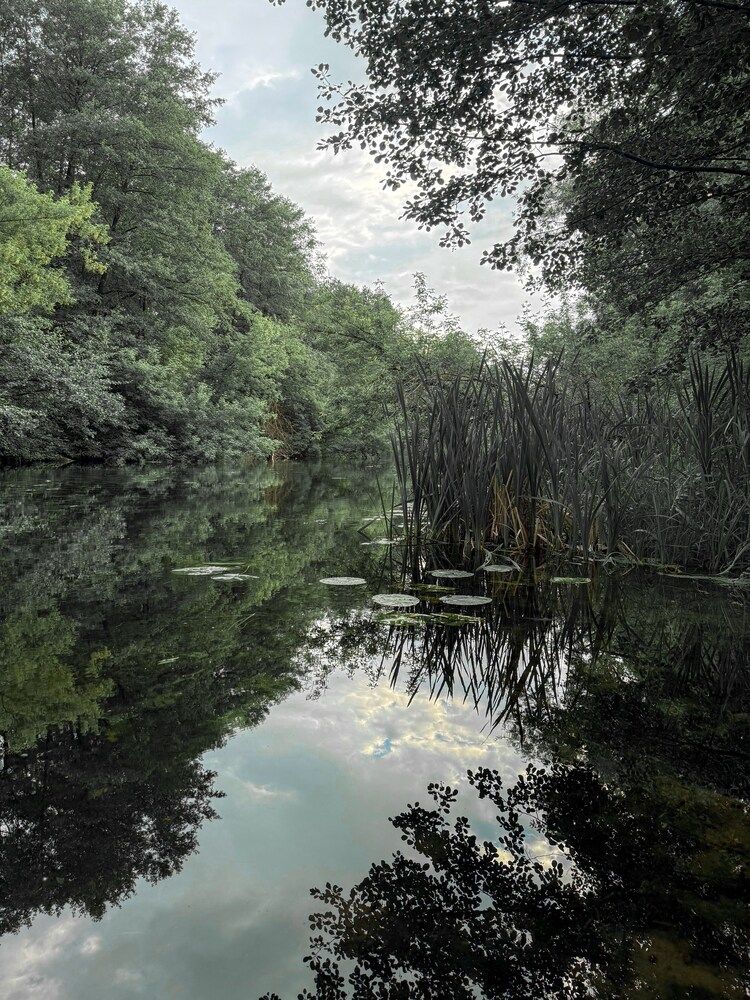 Photograph by Анна Гусева