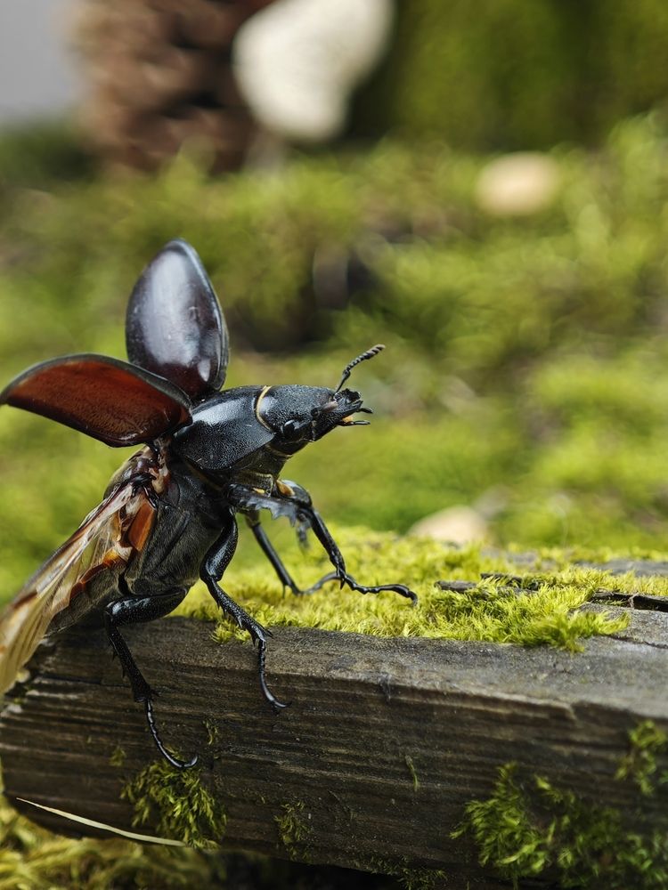 Photograph by Тамара Нижельская