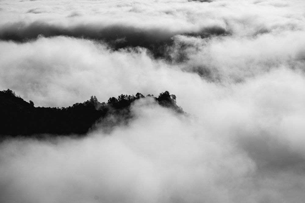 Photograph by Раздорова Мария