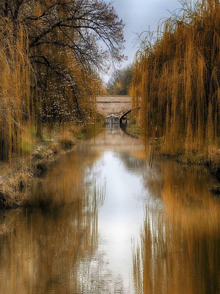 Photograph by Eperjessy Adrian