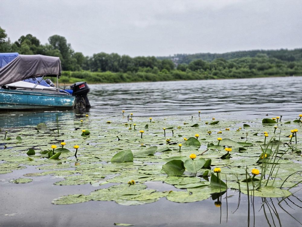 Photograph by Мария Иванова